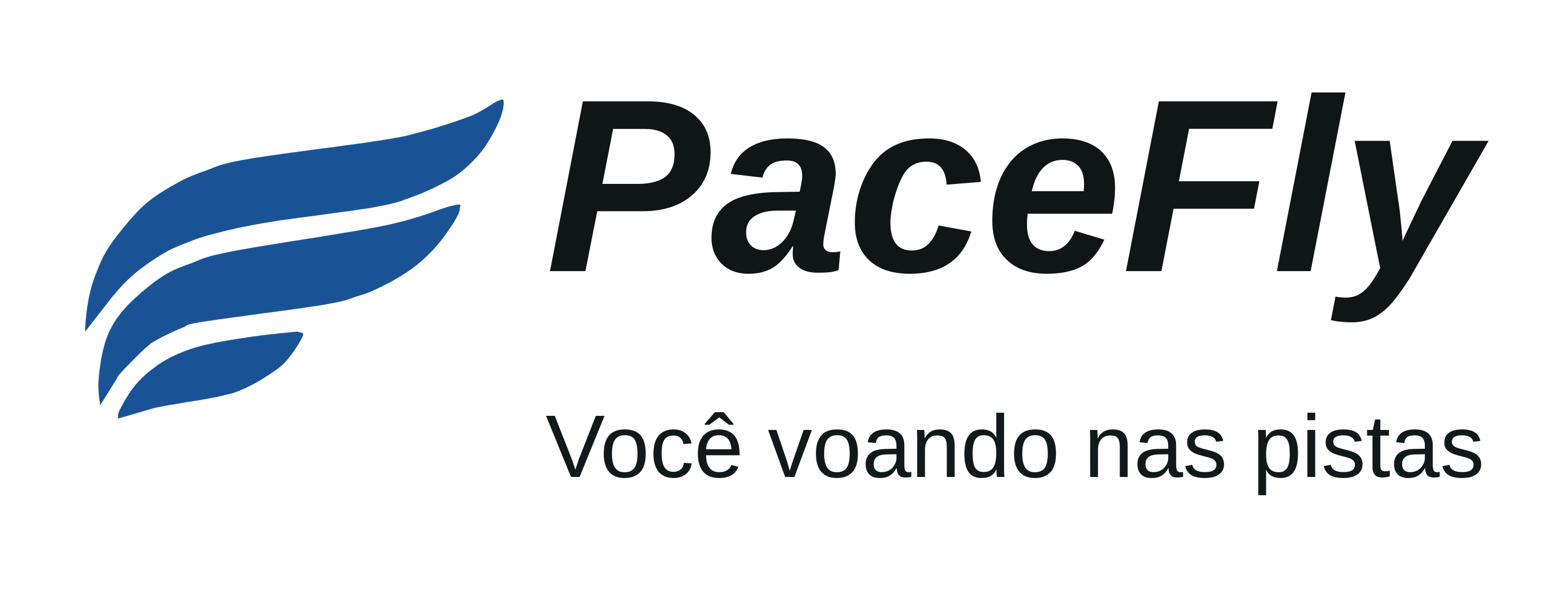 PaceFly - Você voando nas pistas